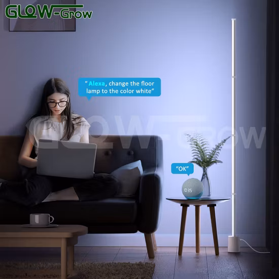 Efeitos multicoloridos Ajuste de humor Regulável Função de memória LED Candeeiro de pé de chão Luz de canto para decoração de casa de Natal 5 compradores